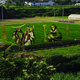 Illustration for article titled Don't Worry, Japanese Rice Paddy Art Is Still Incredible